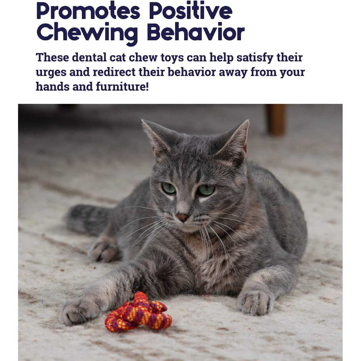 Catstages dental cat chew toy for positive chewing behaviour