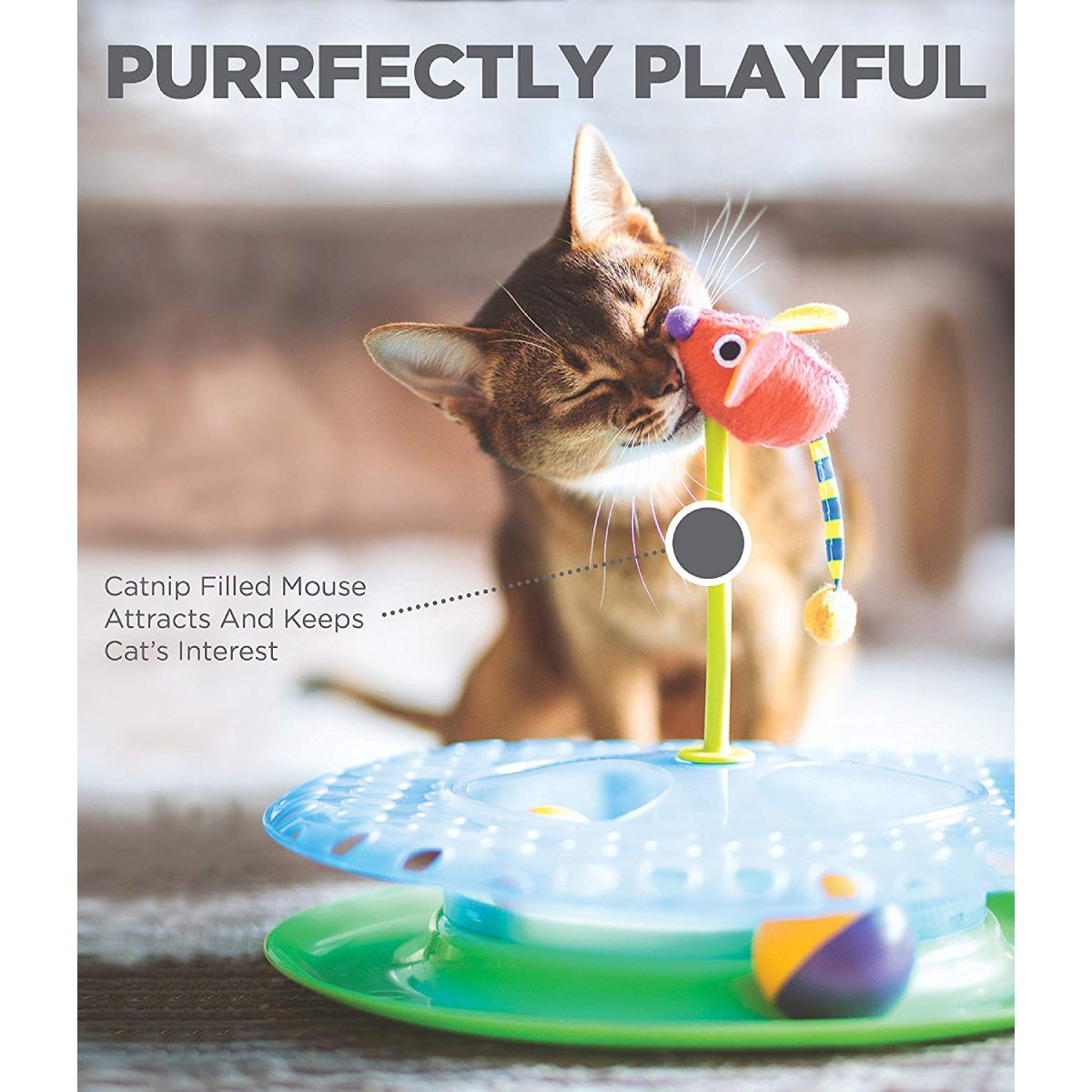 Cat playing with Catstages Cheese Chase catnip filled mouse toy