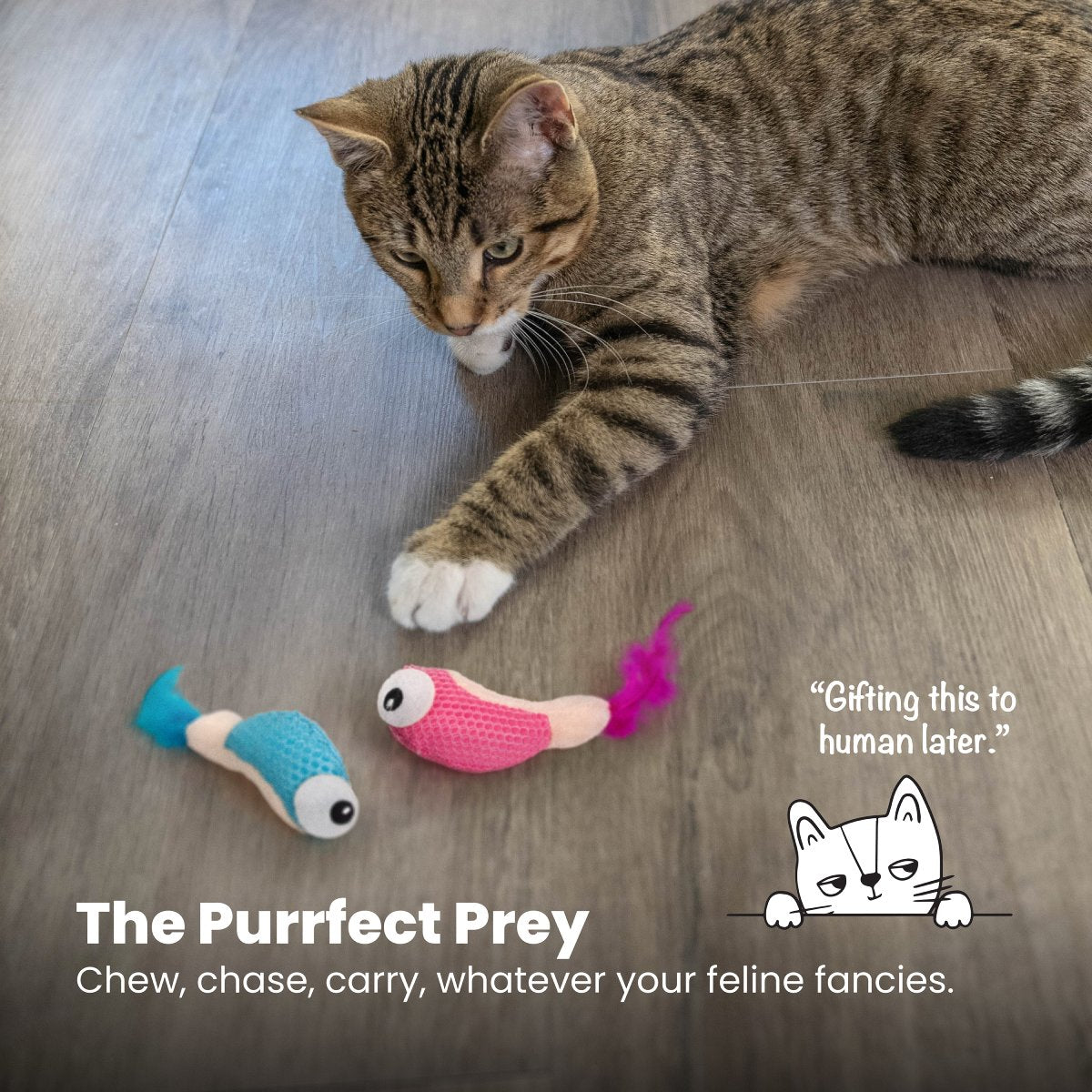 Catstages Dental Shrimpies cat toy for chewing chasing and carrying