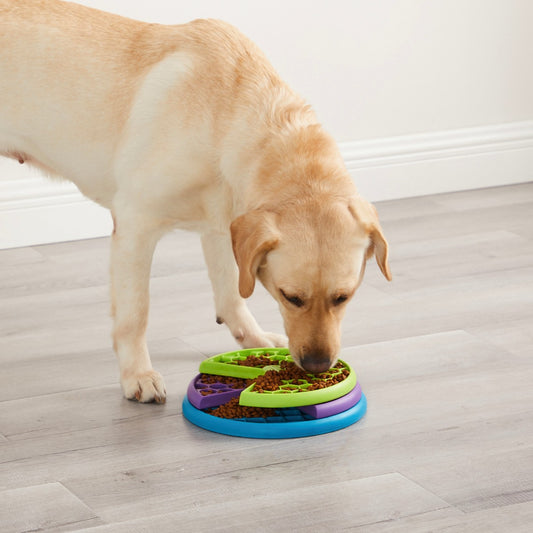 Dog using Nina Ottosson Lickin’ Layers puzzle slow feeder for calmer mealtimes