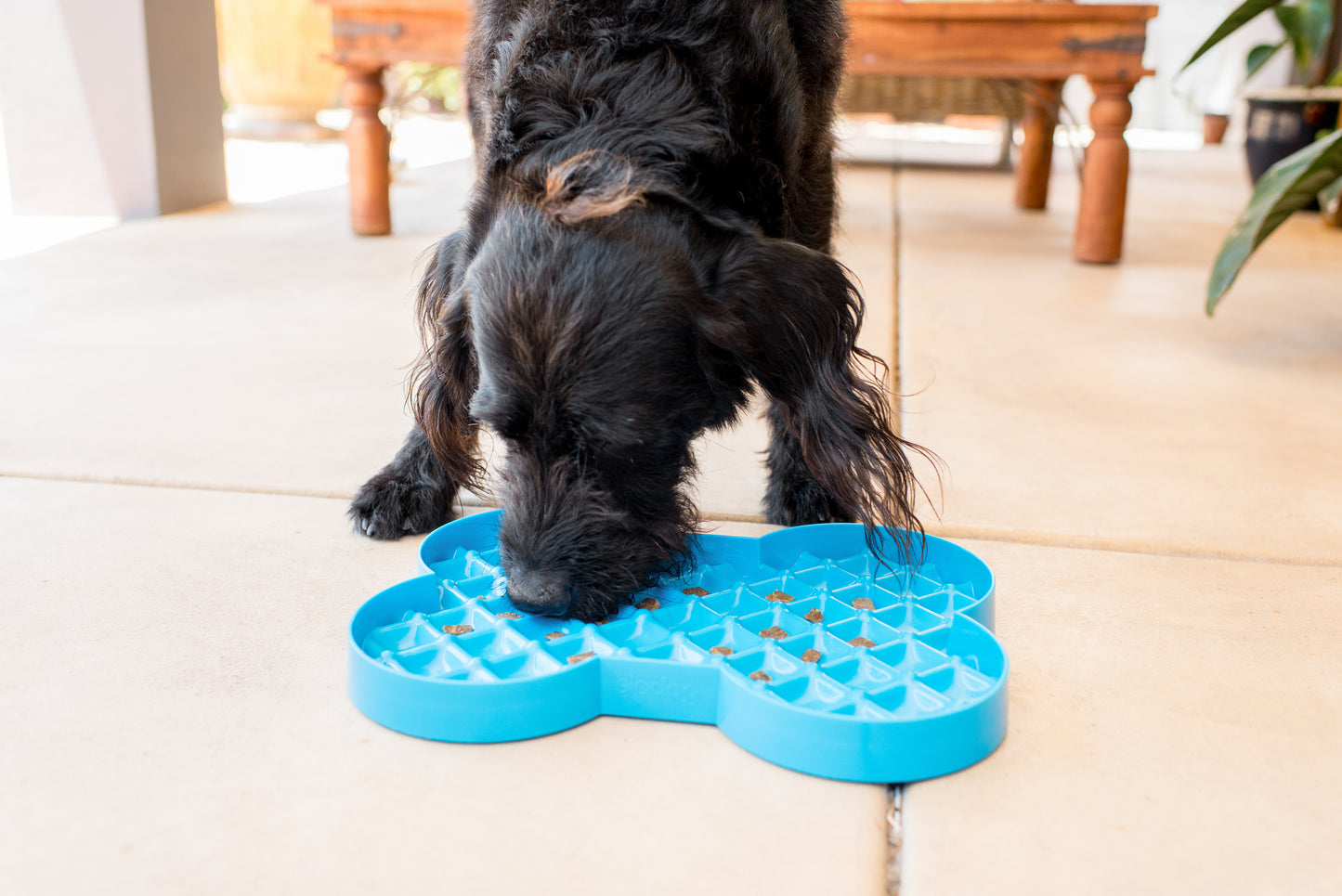 Dog using LickiMat SloDog slow feeder plate to slow down eating and reduce gulping