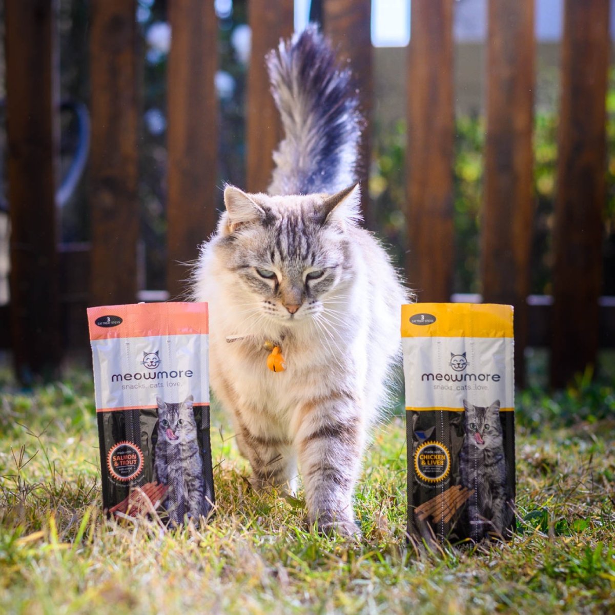 Meow More cat treat sticks range with Salmon & Trout and Chicken & Liver flavours beside a cat