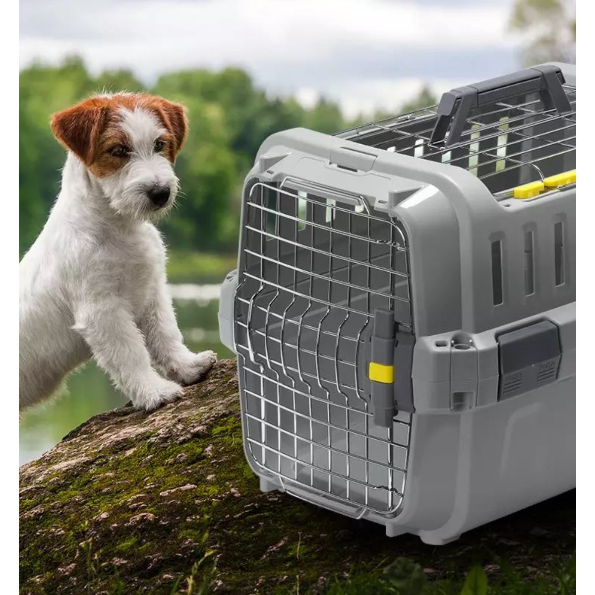 Dog beside the Moderna Odyssey Pet Carrier in Olive Green
