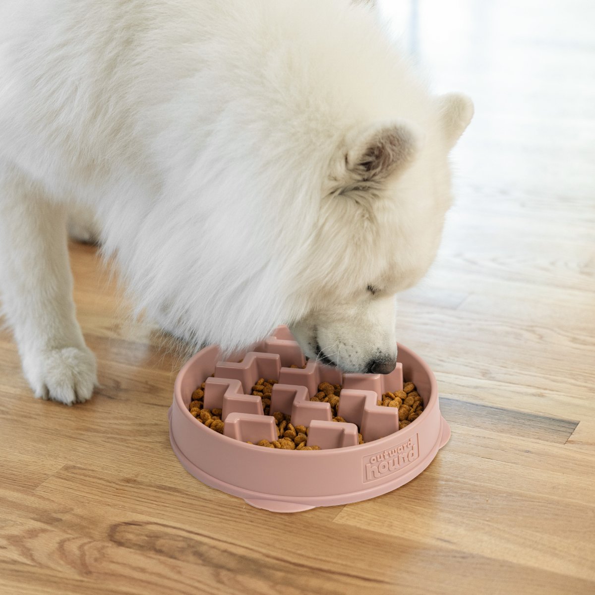 Dog eating from Outward Hound Fun Feeder Notch DRS Large slow feeder bowl