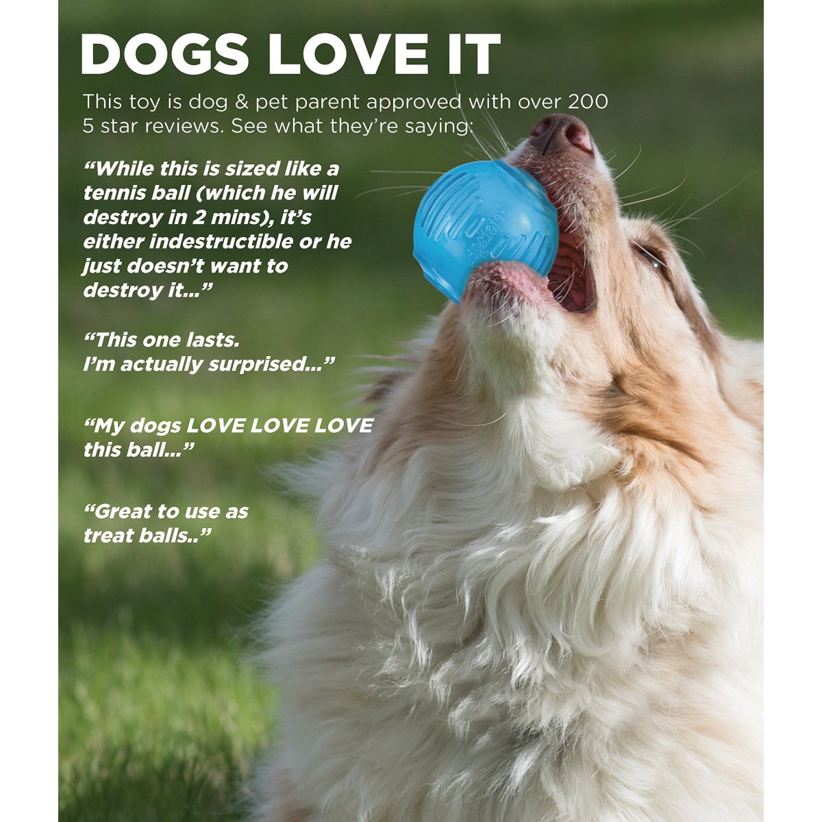 Petstages ORKA Tennis Ball review feature image showing dog playing with blue treat ball outdoors
