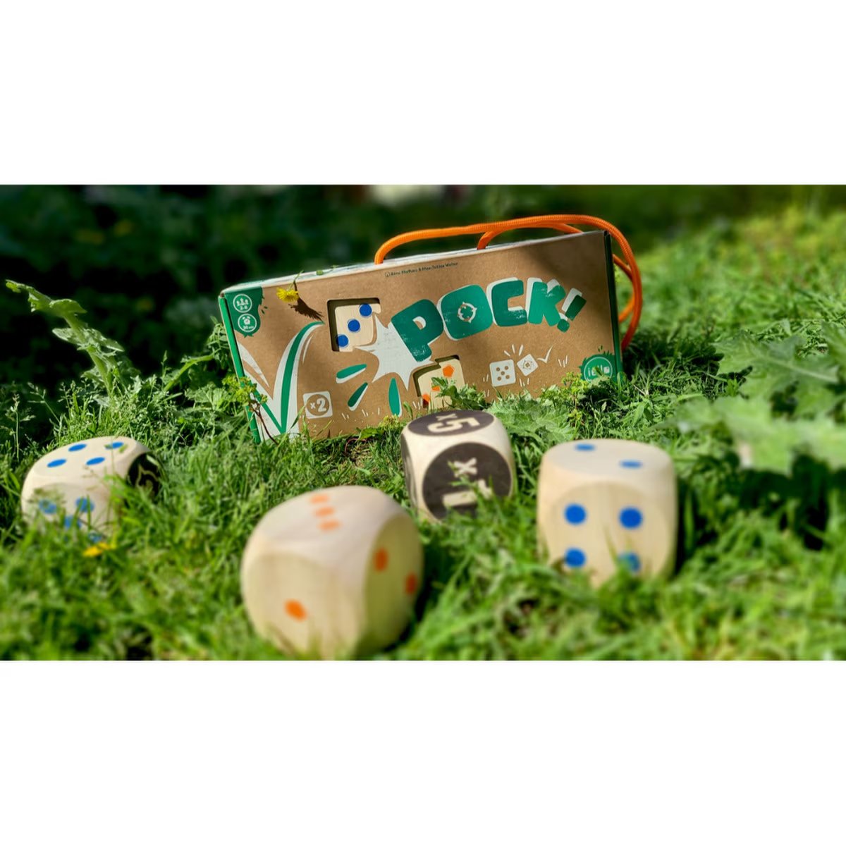 Pock! outdoor dice game with dice set up on grass
