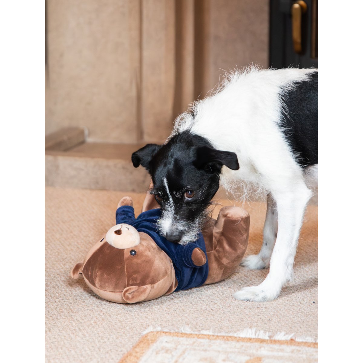 Black and white dog investigating Rosewood Bart Bear Christmas plush dog toy lying on a rug, showing the bear's soft brown body and navy jumper.
