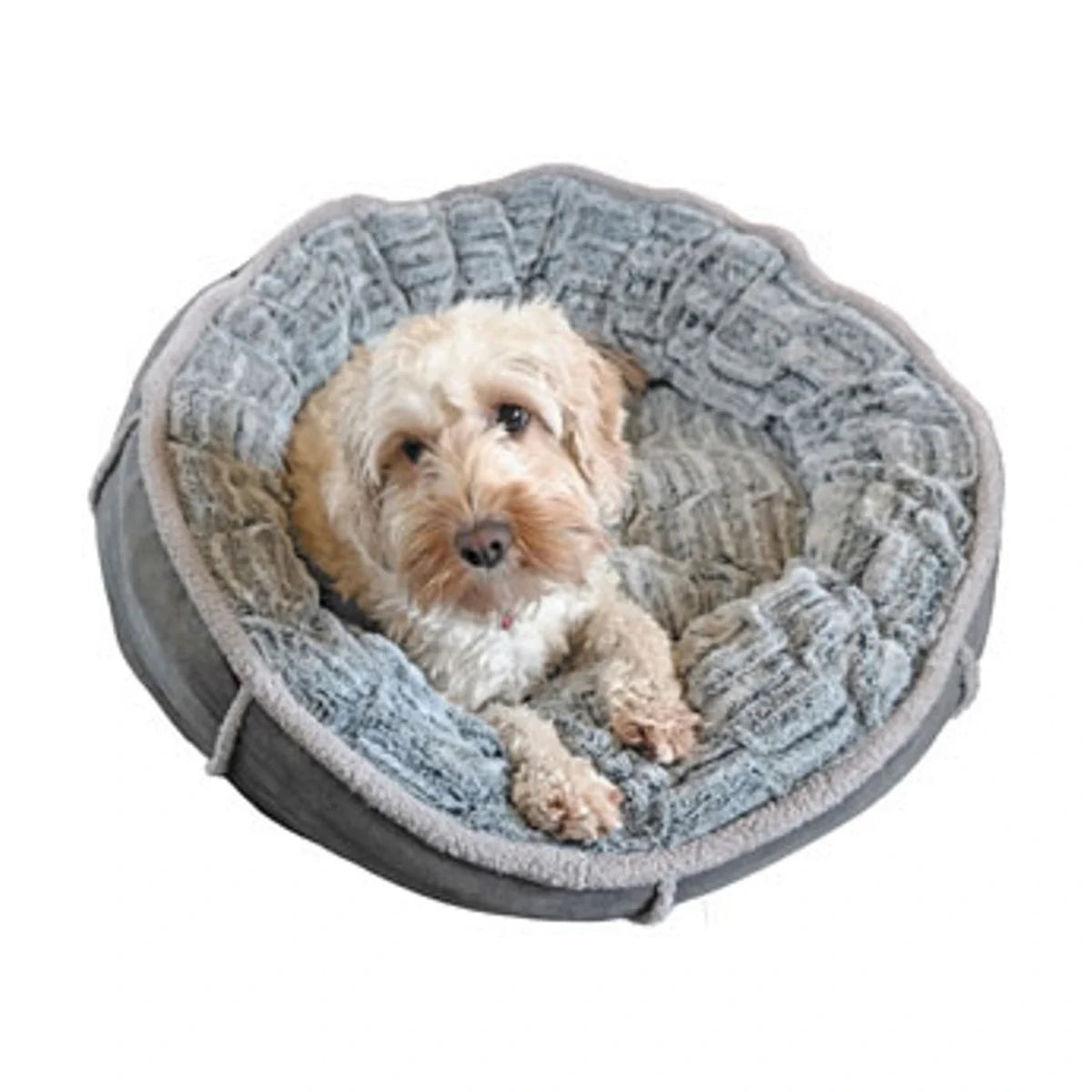 Small fluffy dog resting inside the Rosewood Deep Plush Grey Donut Dog Bed, viewed from above to show the deep plush sleeping area and surrounding cushions.