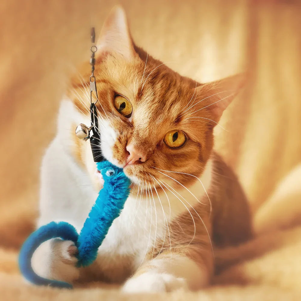 Cat Playing with a chewable Toy - Cat Toys & Essentials - Afrishon World