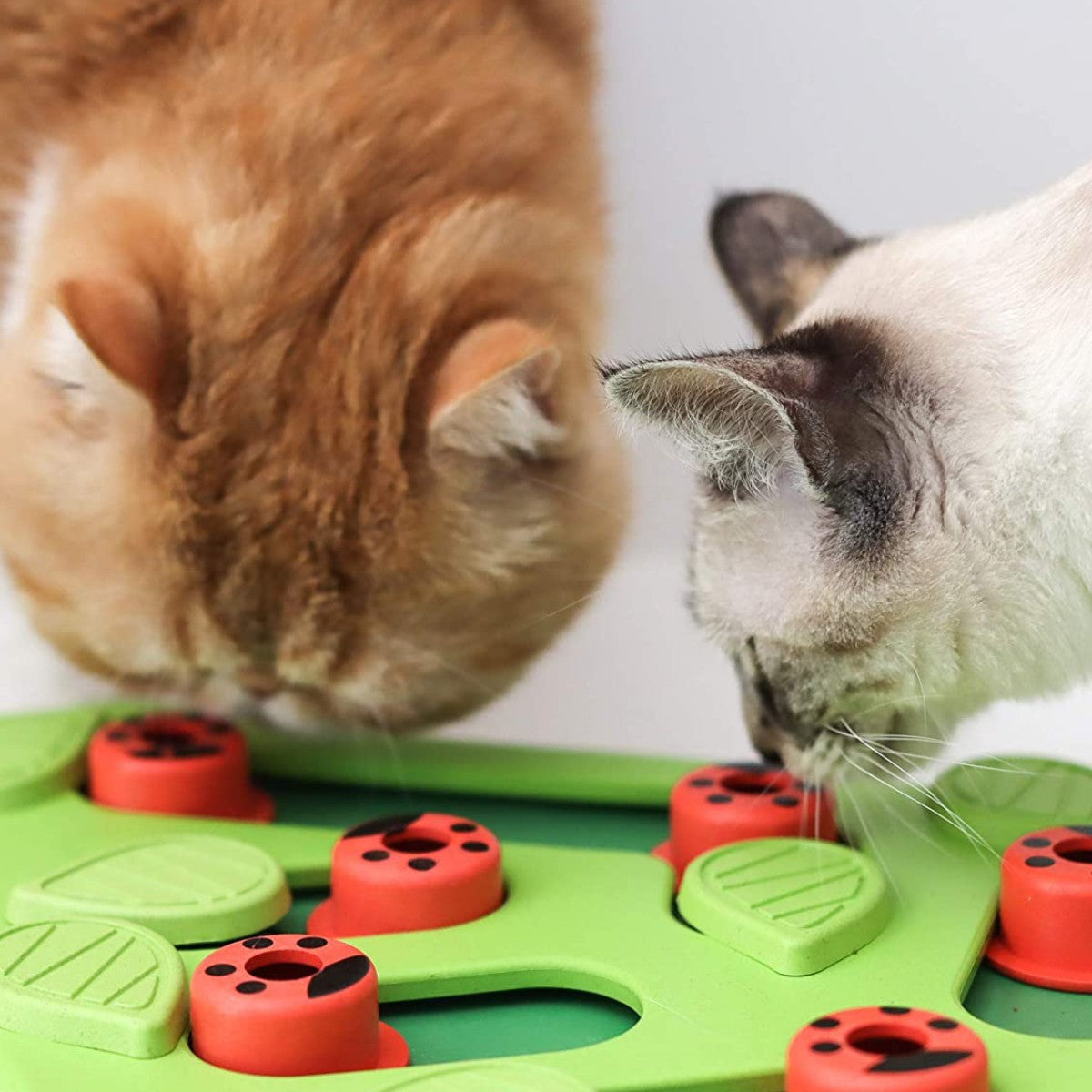 Cat playing with interactive puzzle toy from the Smart Play for Cats collection