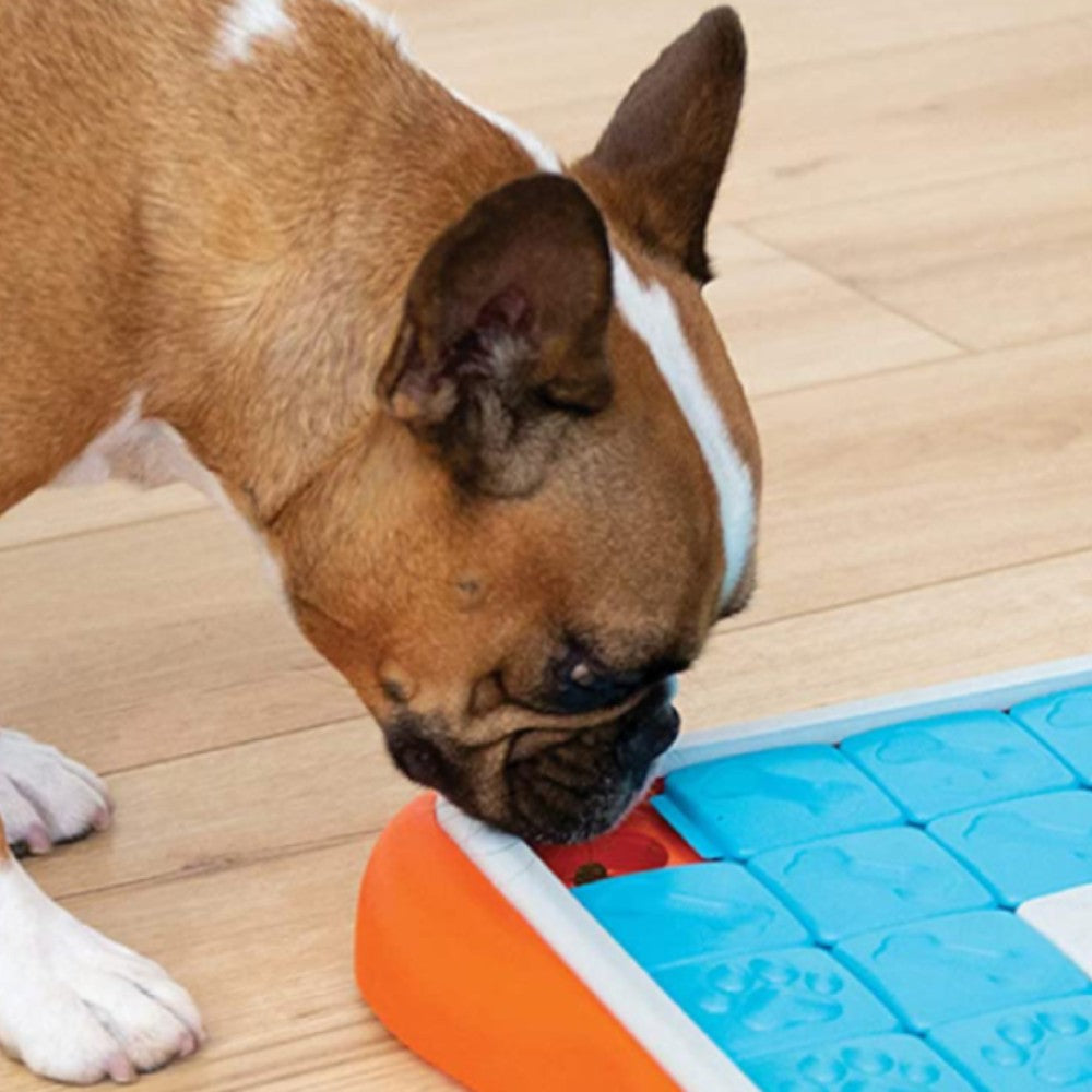 Dog using a Nina Ottosson interactive puzzle feeder slider toy from the Smart Play collection for mental stimulation and boredom busting.