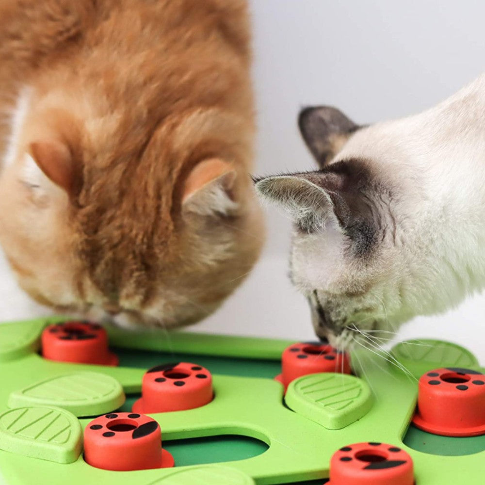 Cat playing with interactive puzzle toy from the Smart Play for Cats collection
