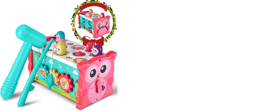 7in1 Montessori Early Development Educational Toy