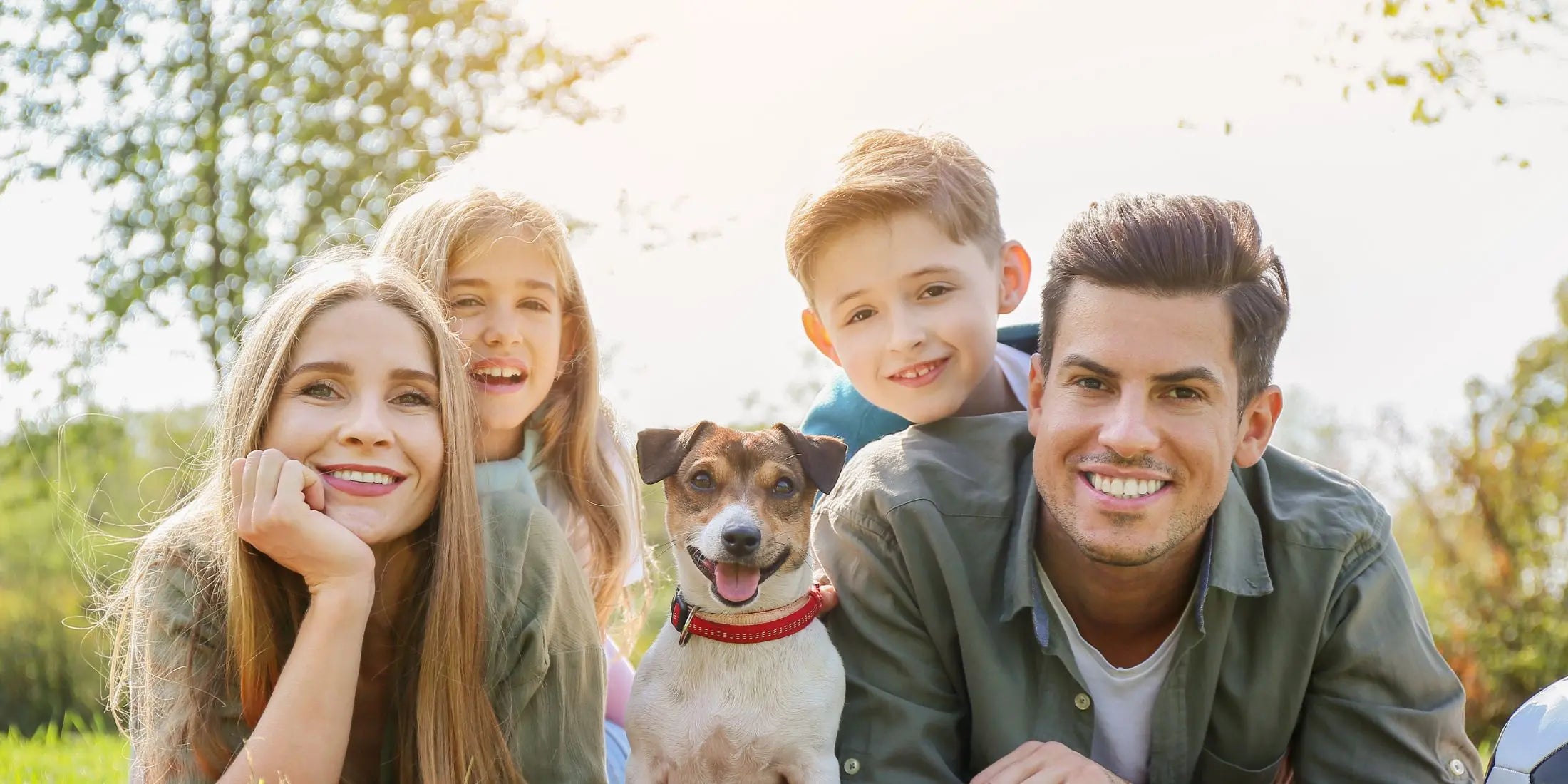 Happy family in the park with a dog, wellness and play — All Products