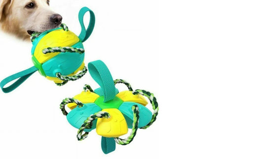 Afrishon World Rebound Chew & Play Ball for Dogs