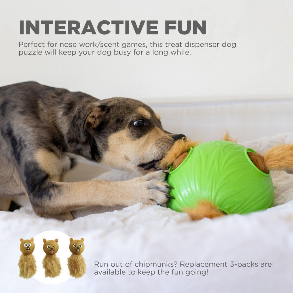 Dog playing with Nina Ottosson Snuffle ’n Treat Ball for interactive nose work and treat puzzle enrichment