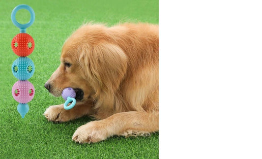 Afrishon World Doggy Smile Dental Stick Toy