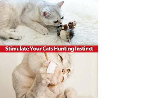 Electronic Interactive Bird Toy For Cats