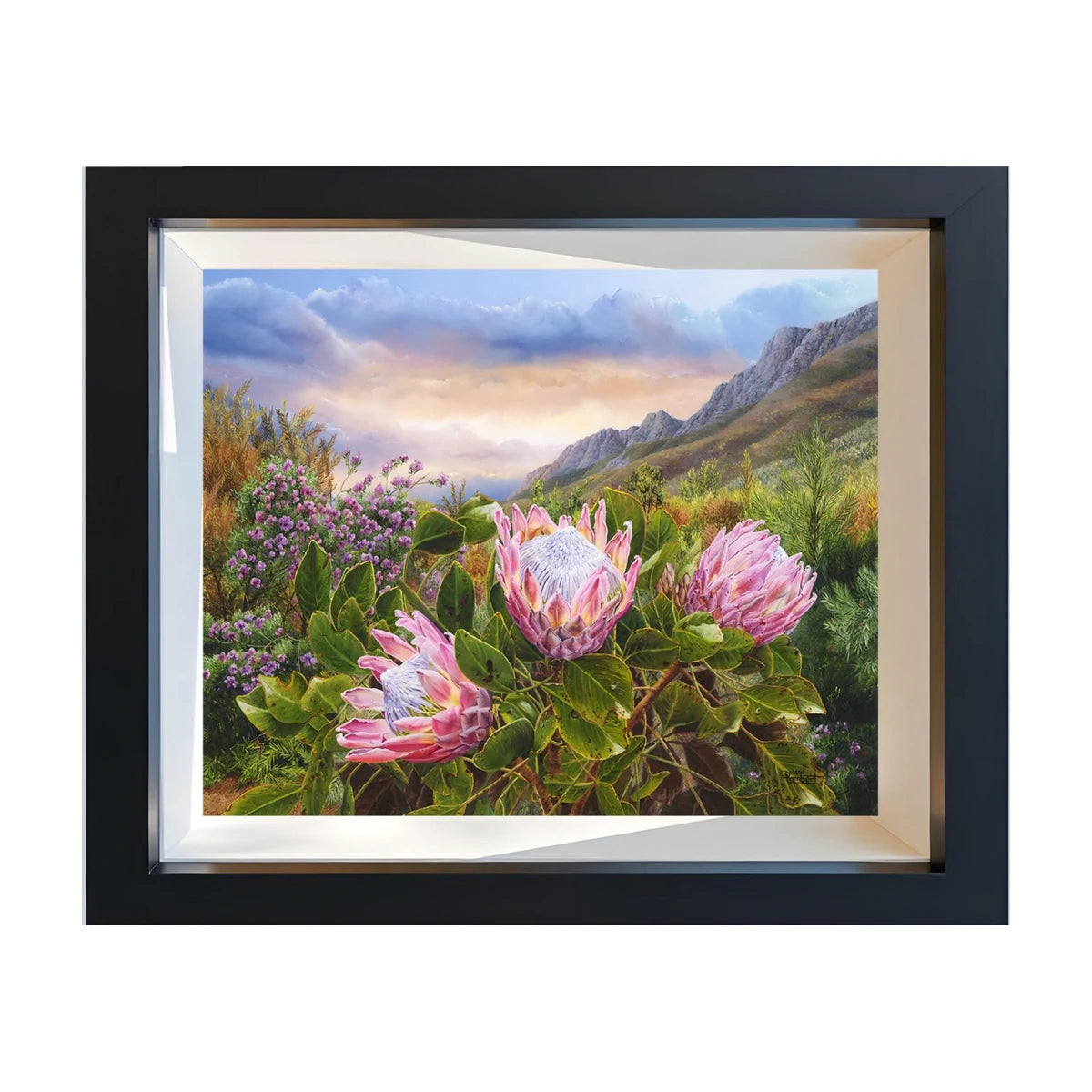 RGS Pink Proteas Jigsaw Puzzle 1000pc