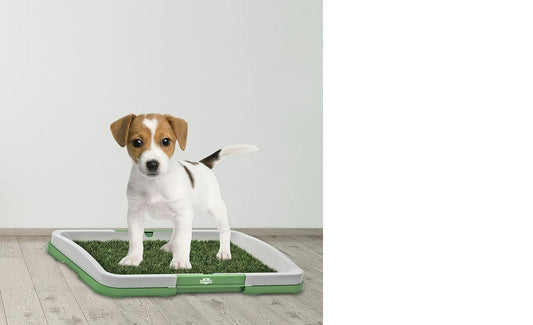 Afrishon World – Puppy Potty Training Pad