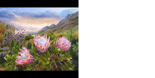 RGS Pink Proteas 1000pc