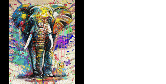 RGS Colour Burst 1000pc