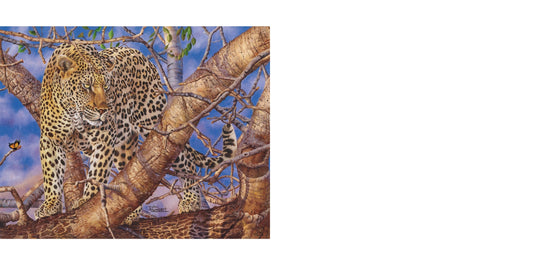 RGS Leopards Gaze 1500pc