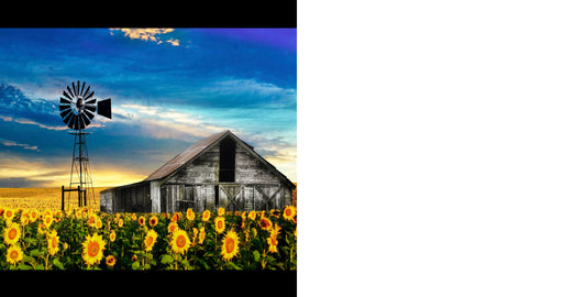 RGS Sunflowers in Clarens 1500pc