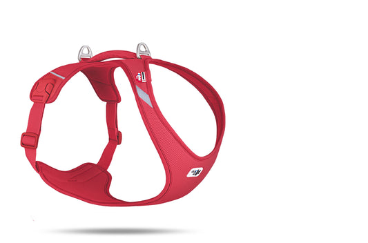 Evergreen Belka Harness Air Mesh for Large Dogs