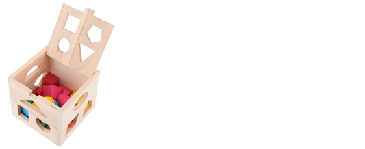 Shape Sorter Intelligence Box