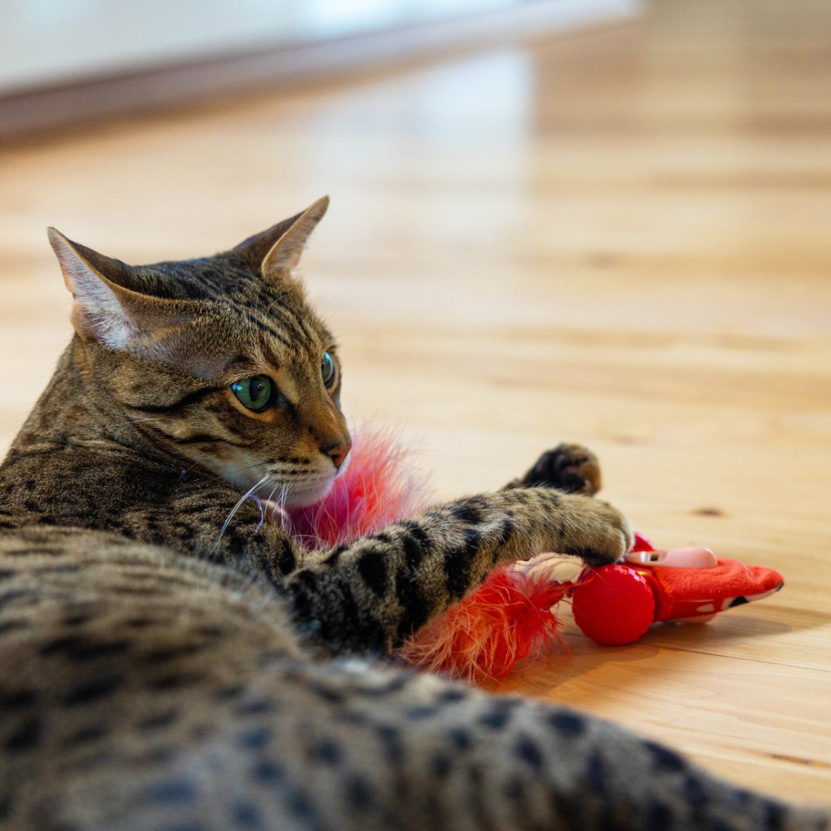 Catstages Racin’ Squirrel Robot Cat Toy