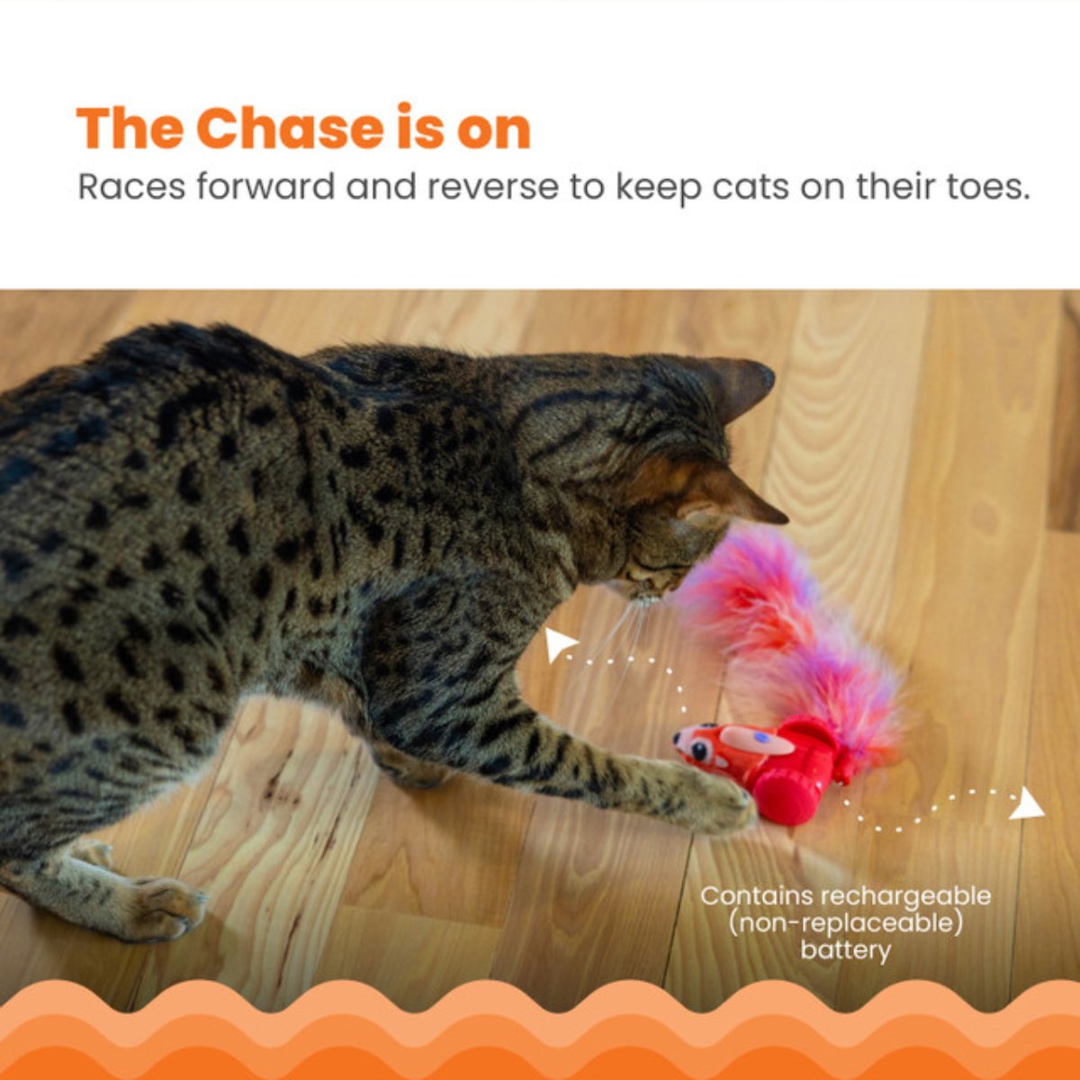 Catstages Racin’ Squirrel Robot Cat Toy