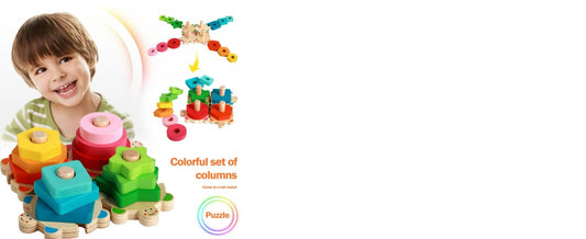 Turtle Shape Sorter Toy