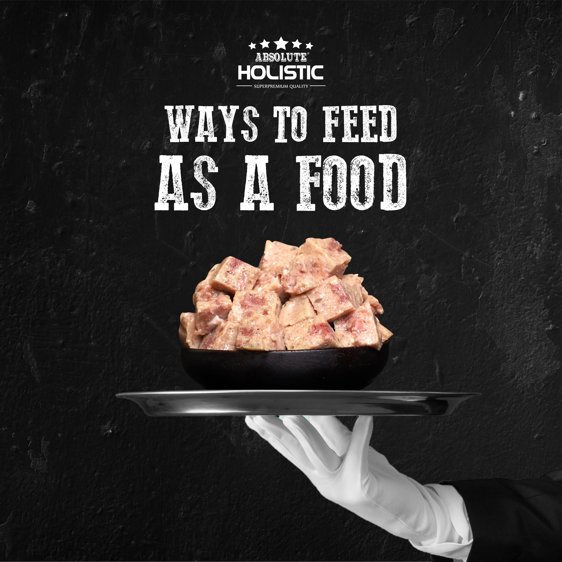 Absolute Holistic Chicken Meaty Loaf Dog Food served in a bowl as a complete meal