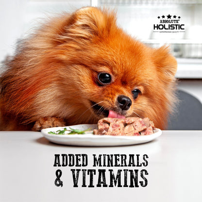 Small dog eating Absolute Holistic Duck Meaty Loaf dog food from a plate