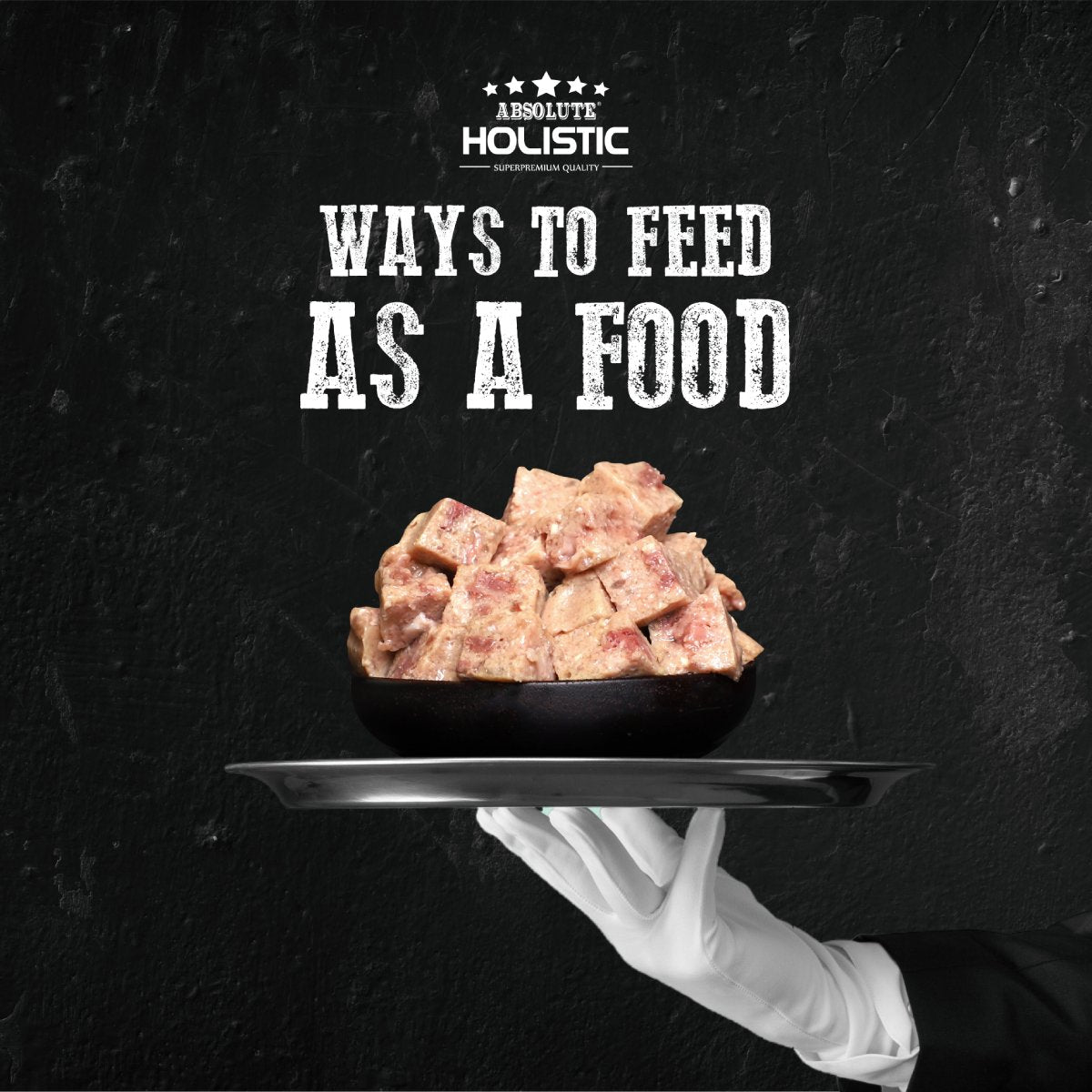 Absolute Holistic Salmon Meaty Loaf Dog Food served in a bowl as a complete meal