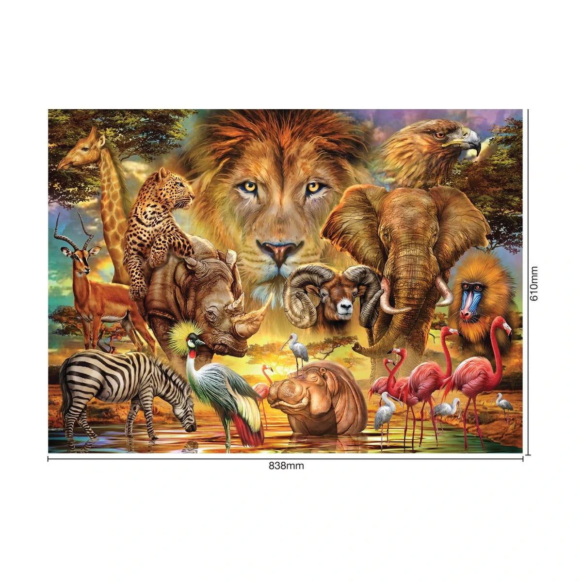 African Wildlife Jigsaw Puzzle 1500pc size guide showing completed puzzle size 838 x 610mm
