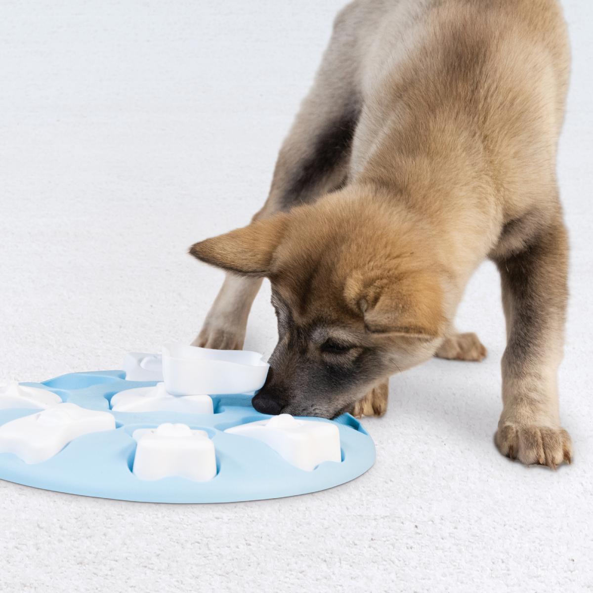 Puppy using Nina Ottosson Puppy Smart level 1 blue treat puzzle toy for mental stimulation