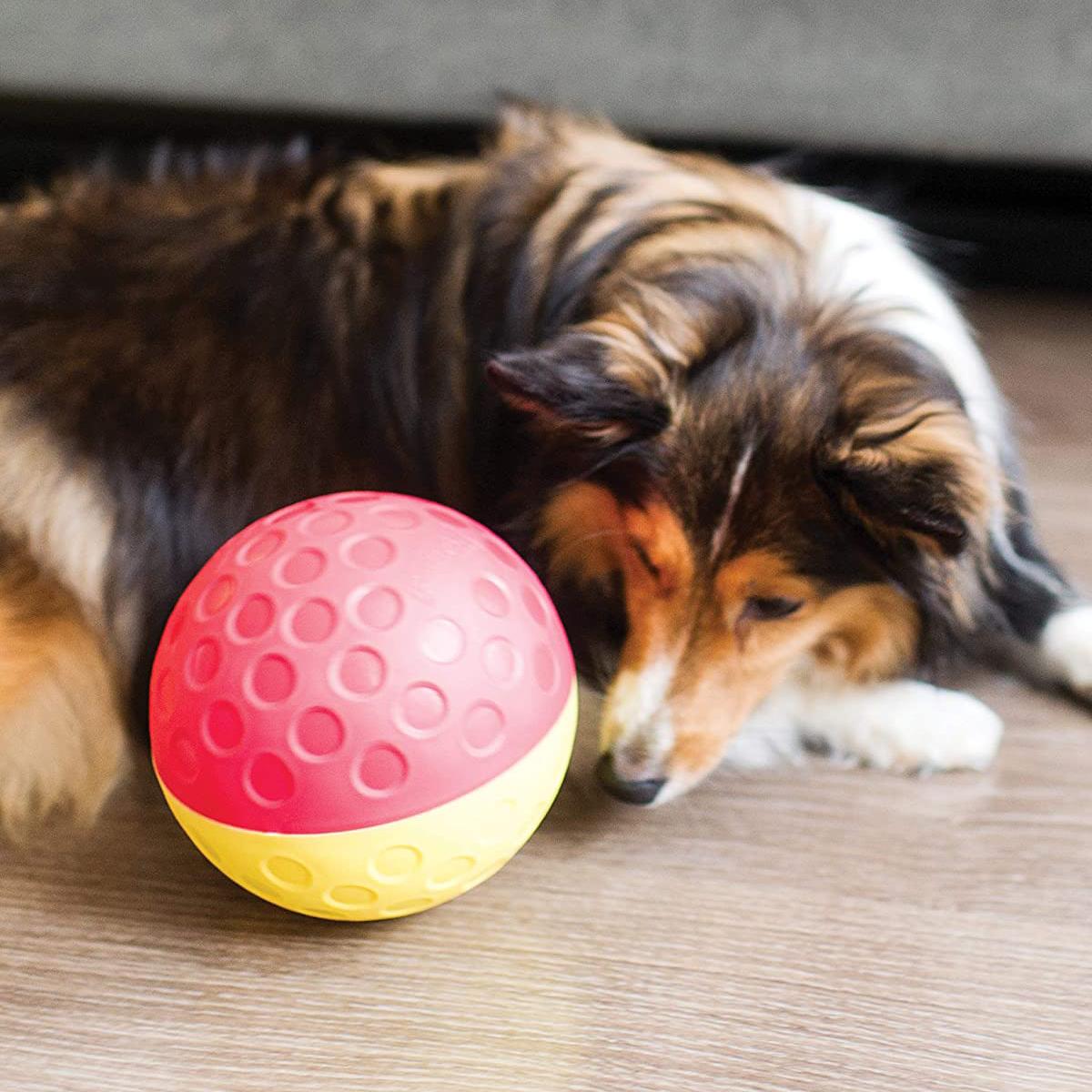 Dog relaxing beside Nina Ottosson Treat Tumble large red and yellow treat-dispensing puzzle ball
