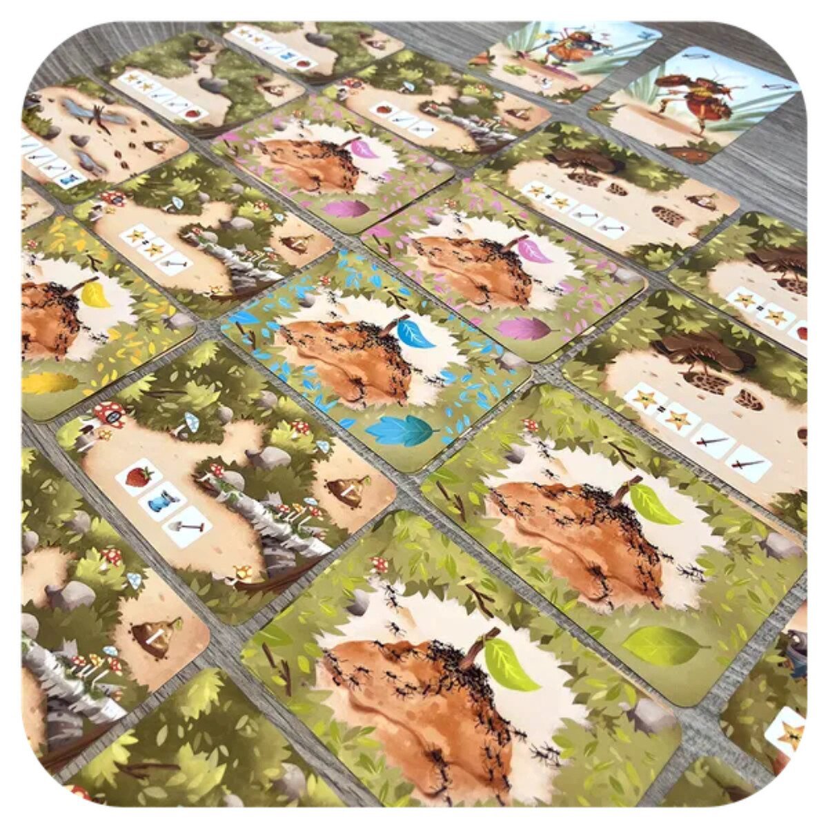 antscape Card Game territory cards arranged into a landscape for colony building and area control
