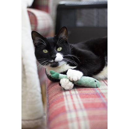 Black-and-white cat holding a green Battersea Daily Catch catnip fish toy on a chair