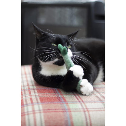 Black-and-white cat playing with a green Battersea Daily Catch catnip fish toy