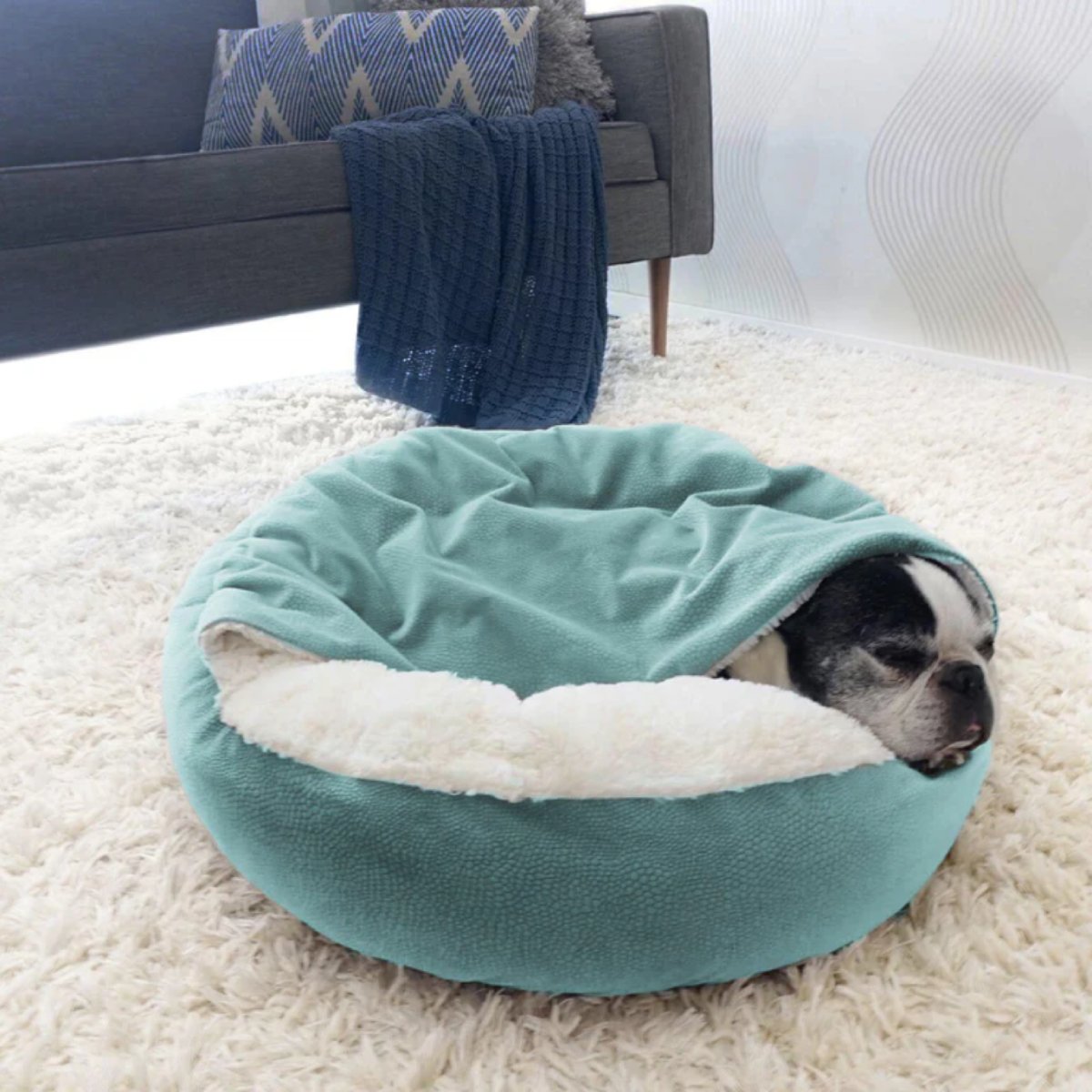 Small dog sleeping beneath the attached blanket of a Tide Pool Cozy Cuddler Ilan pet bed on a fluffy rug beside a sofa.