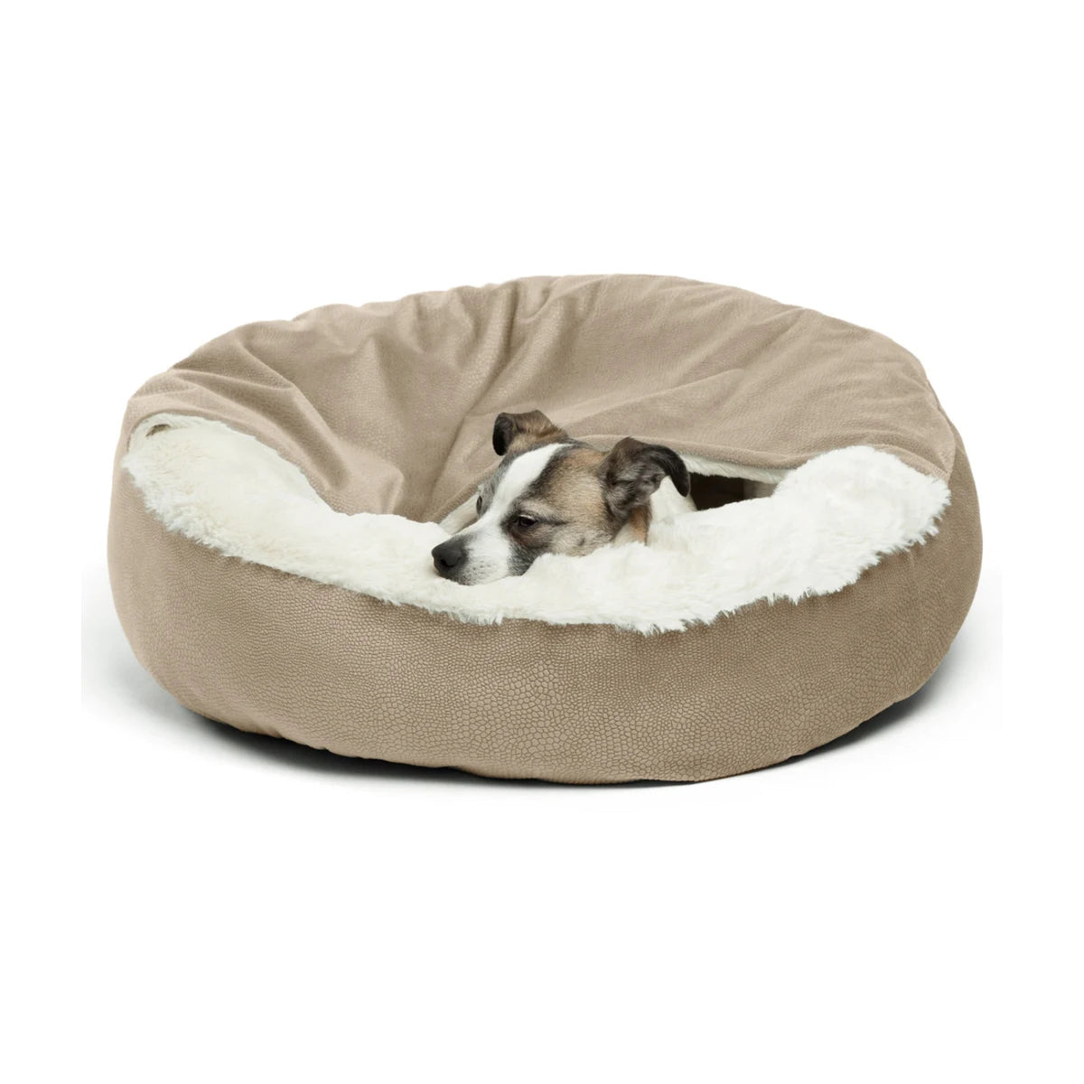 Small dog resting comfortably inside the Wheat Cozy Cuddler Ilan cat and dog bed, nestled against the cream faux fur cushioning beneath the attached blanket.