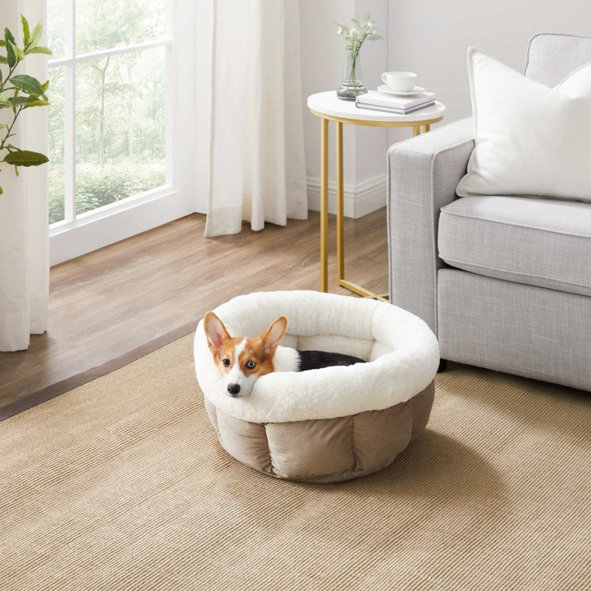 Small brown and white dog relaxing in a Wheat Best Friends by Sheri Cuddle Cup Ilan Jumbo pet bed on a living room rug beside a grey sofa.
