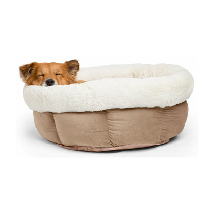 Small brown dog sleeping comfortably in a Wheat Best Friends by Sheri Cuddle Cup Ilan Jumbo pet bed, resting its head on the plush white faux fur rim.