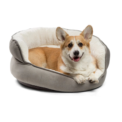 Happy Corgi resting in the Best Friends by Sheri Throne Ilan Jumbo Grey dog bed with thick supportive walls and soft cream faux fur cushioning.