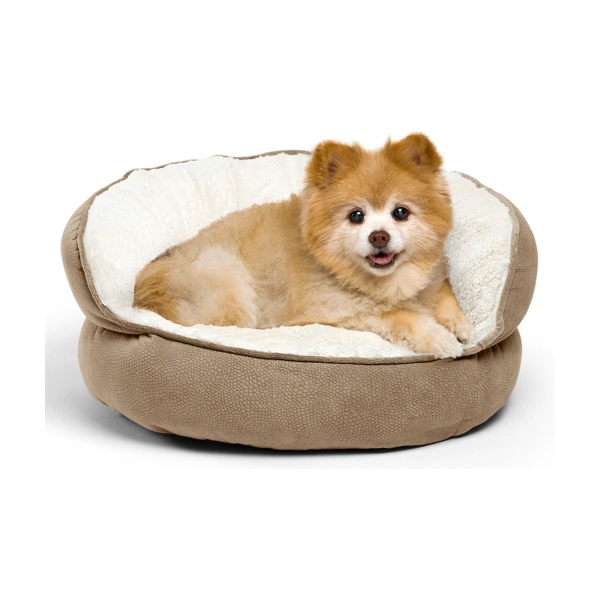 Small fluffy tan dog resting in the Best Friends by Sheri Throne Ilan Mini dog and cat bed in Wheat, showing the cream plush lining and supportive high-backed design.