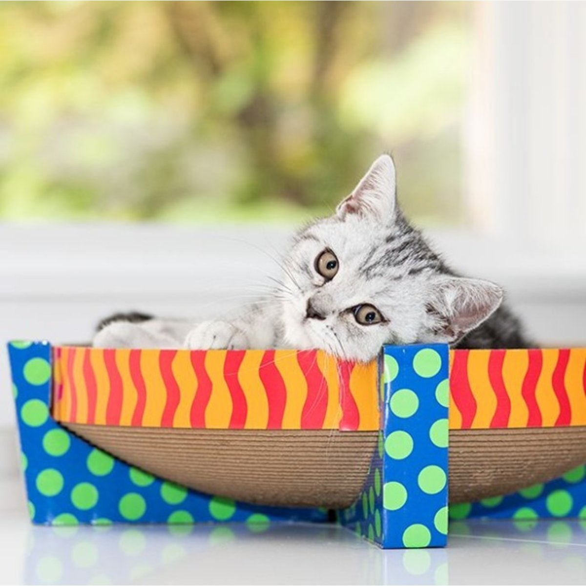 Cat curled up in a Catstages cardboard cat scratcher and lounger