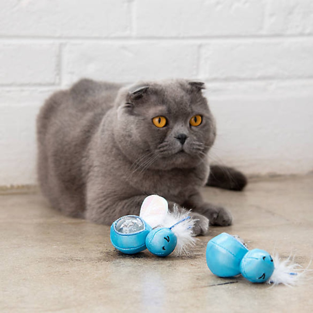 Cat on the floor looking at the Catstages Firefly Treat Stuffer